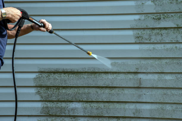 Best Paint Preparation  in Jamestown West, NY